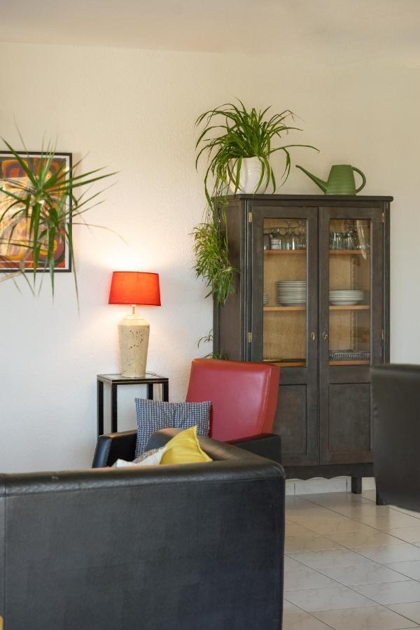 Le Clos Bellevue Appartement T3 Parking + Piscine Rodez Exteriér fotografie